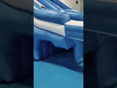 Ticari Açık Açık Dev Şişme Su Kaydırıcı Ahtapot Karikatür Şişme Su Kaydırıcı