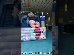 Ticari şişme slaytlar Dondurulmuş şişme tek kuru slaytlar