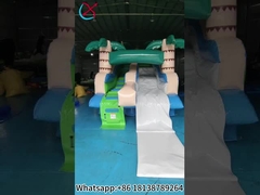 Ticari şişme kaydırma Palmiye Şişme Su Kuru Kaydırmalar Dışarıda